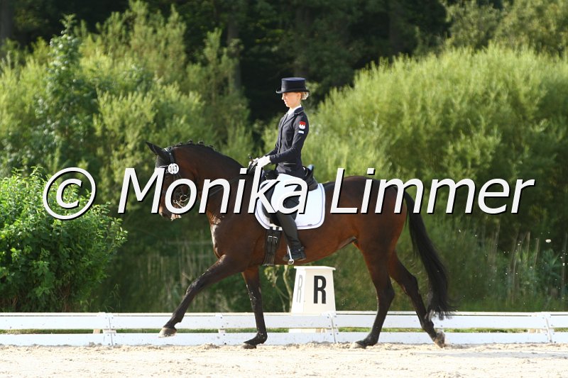 109M8839_Romatik Dream_Dressur Mxx_Youngster Cup.JPG